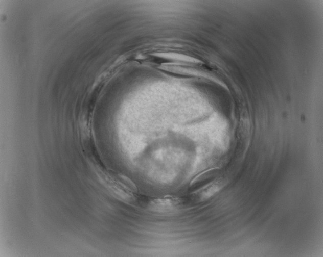 X0000053080381200508012012