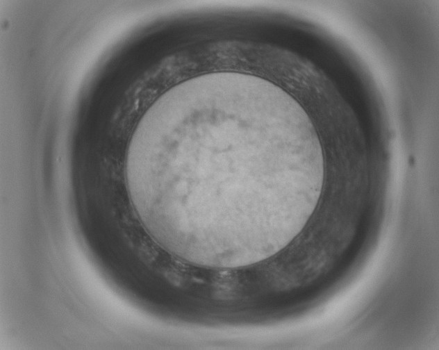 X0000053080382200508012012