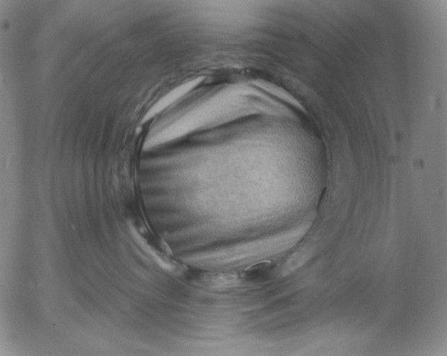 X0000053080384200508012012