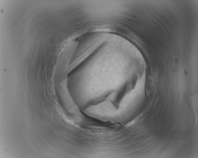 X0000053080385200508012012