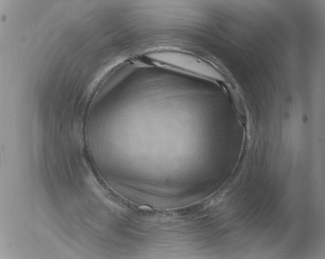 X0000053080386200508012012