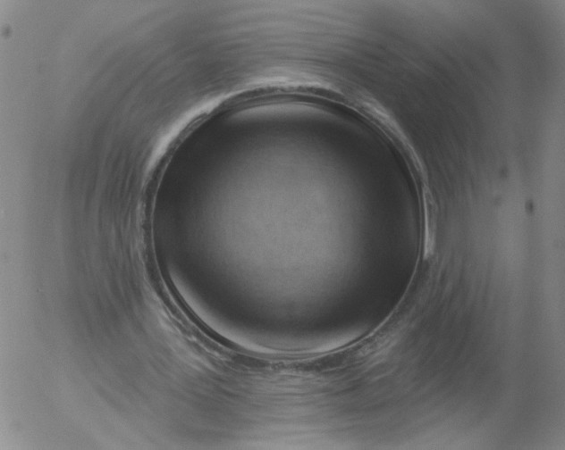 X0000053080387200508012012