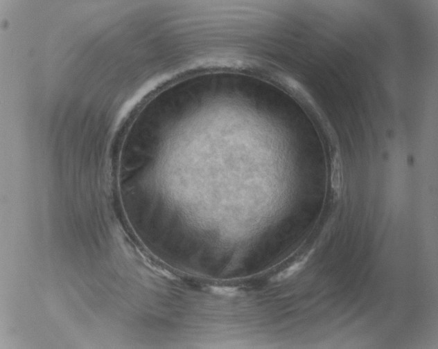 X0000053080388200508012012