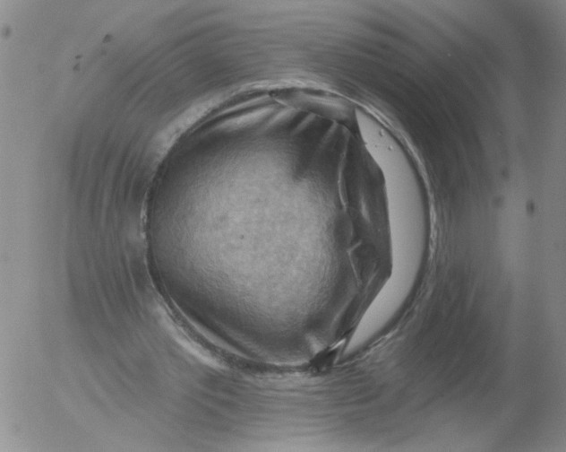 X0000053080389200508012012