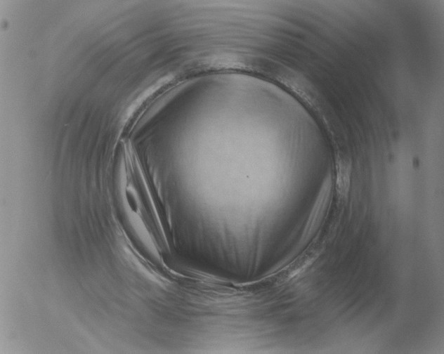 X0000053080390200508012012