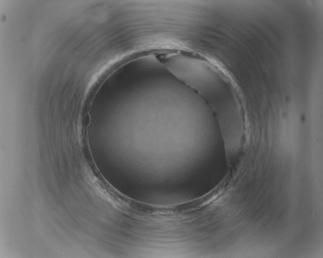 X0000053080391200508012012