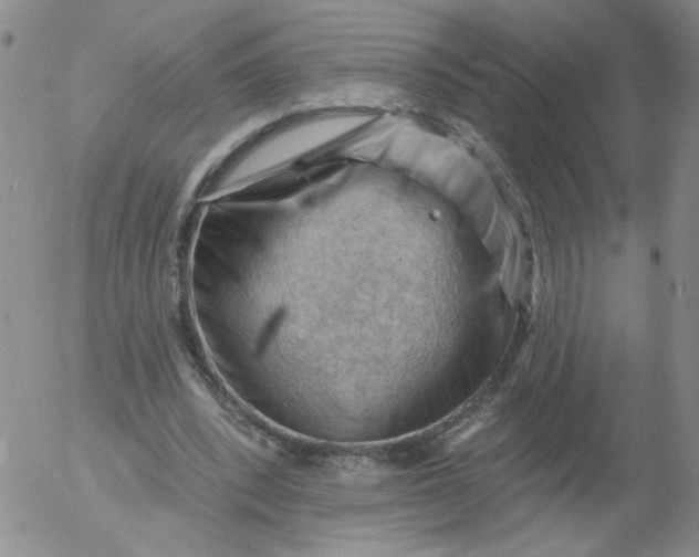 X0000053080392200508012012