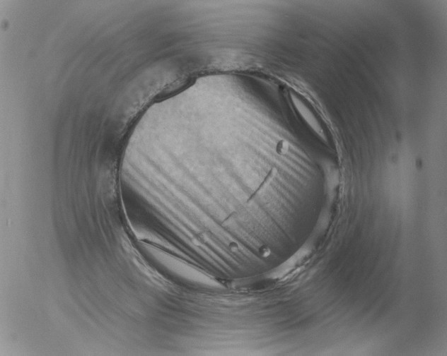 X0000053080393200508012012