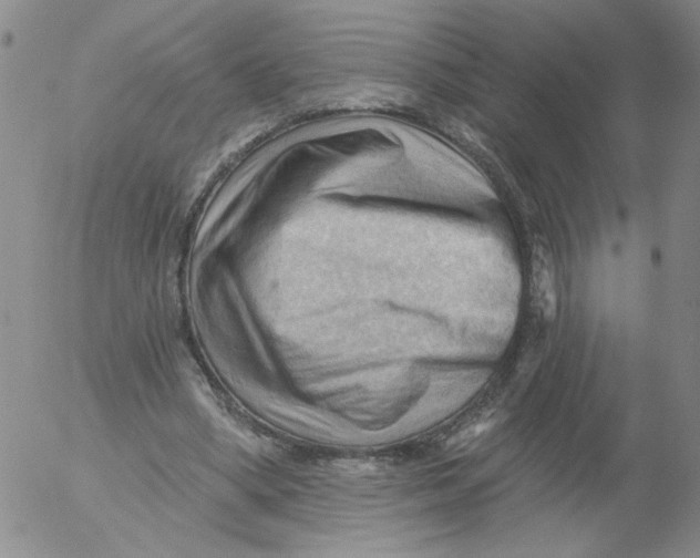 X0000053080394200508012012