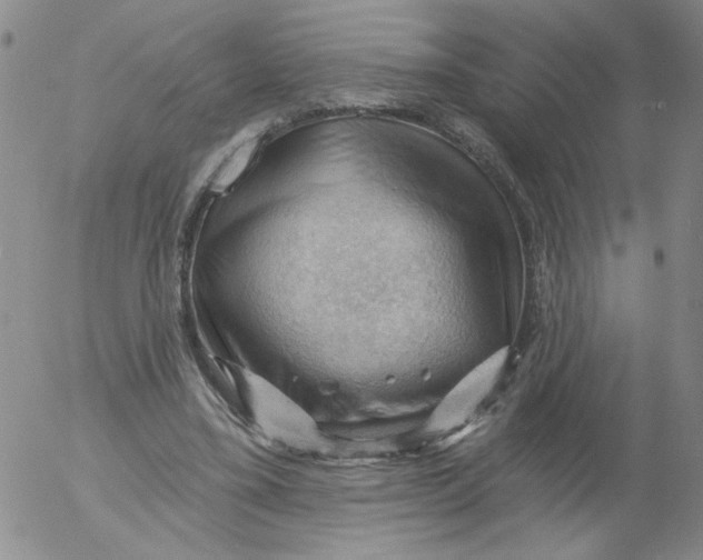 X0000053080395200508012011