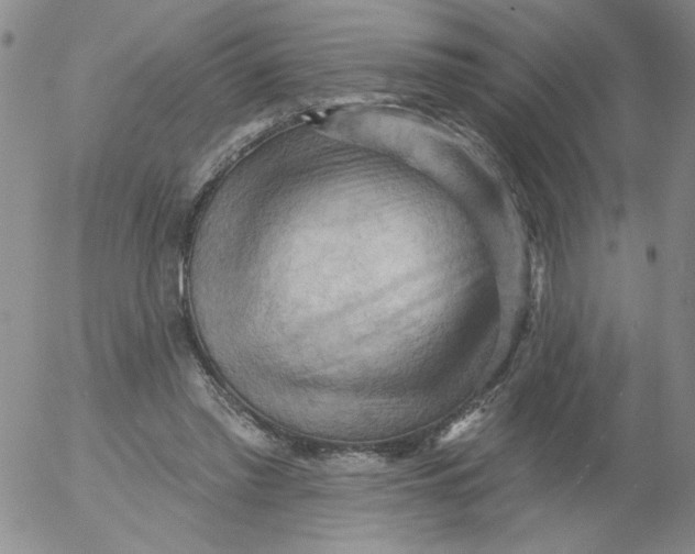 X0000053080397200508012011