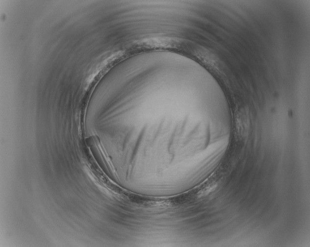 X0000053080398200508012011