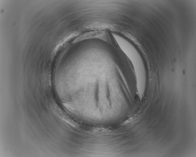 X0000053080399200508012011