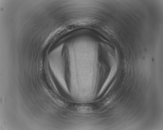 X0000053080400200508012011