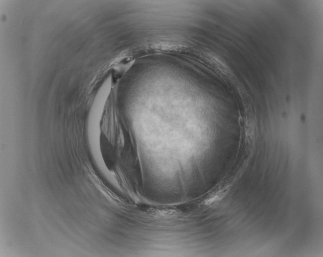 X0000053080401200508012011