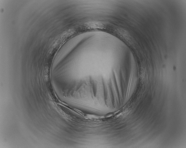 X0000053080402200508012011