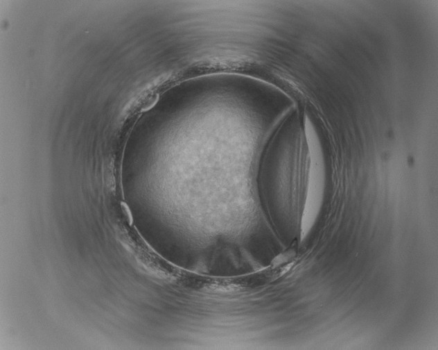 X0000053080403200508012011