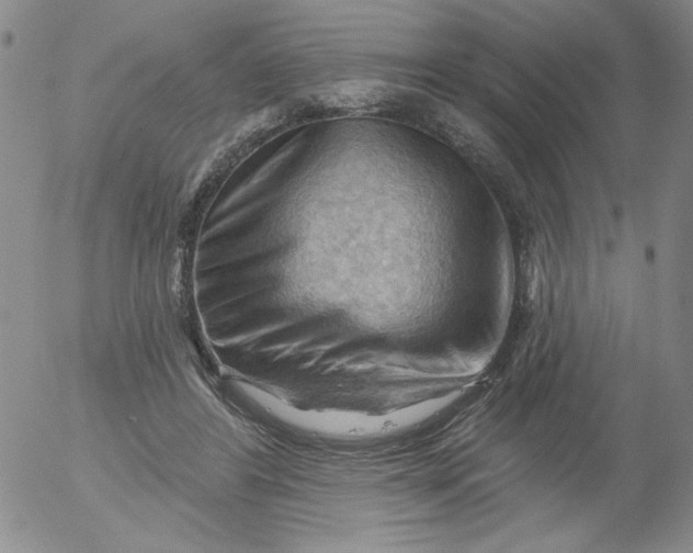 X0000053080404200508012011