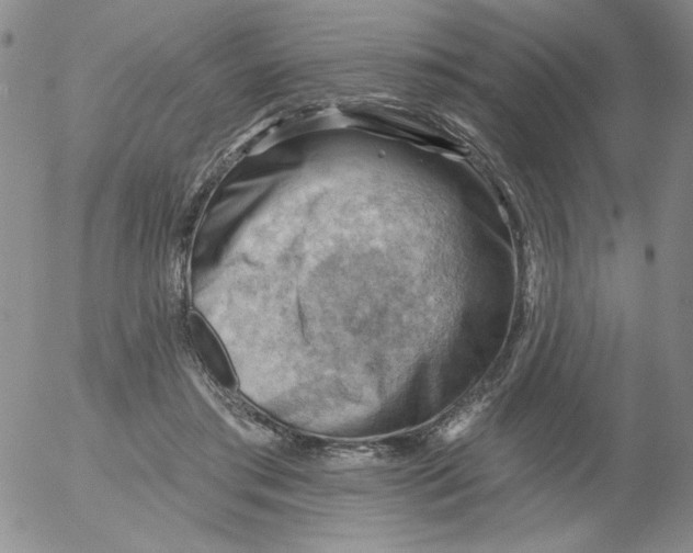 X0000053080405200508012011