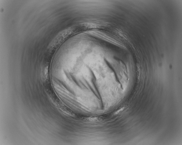 X0000053080406200508012011