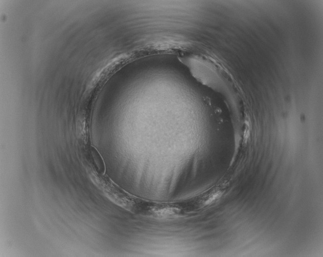 X0000053080407200508012011