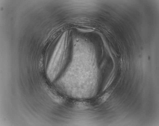 X0000053080408200508012011