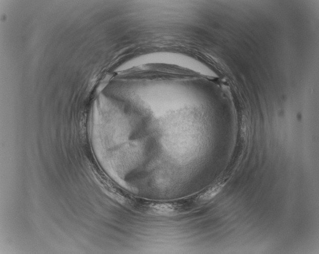 X0000053080409200508012011