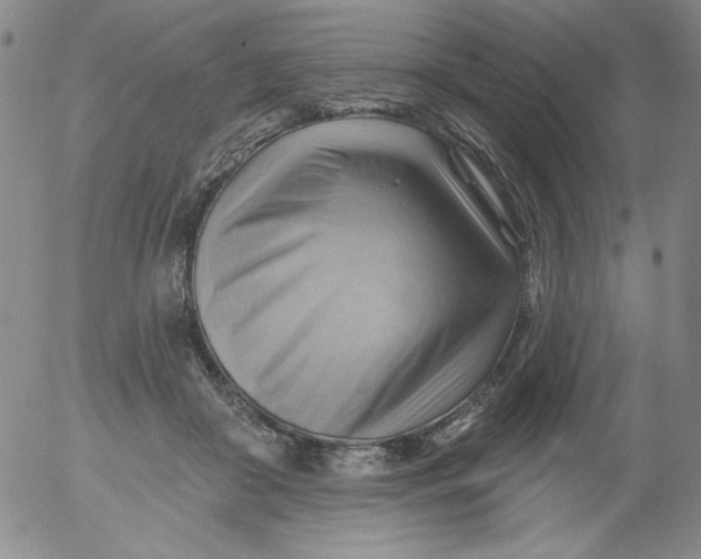 X0000053080410200508012011