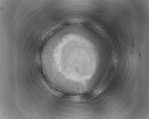 X0000053080411200508012011