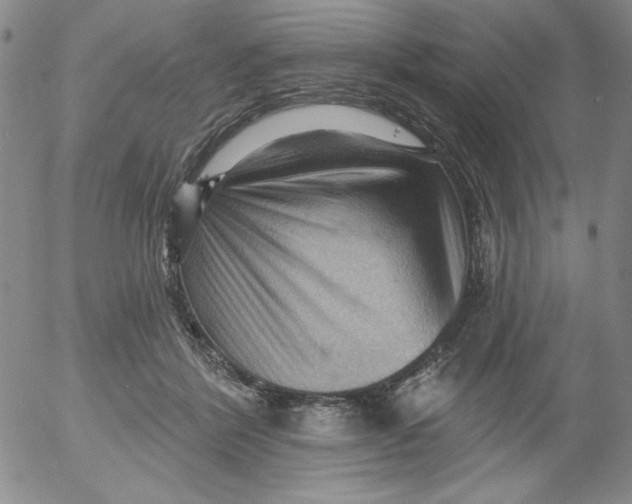 X0000053080412200508012011