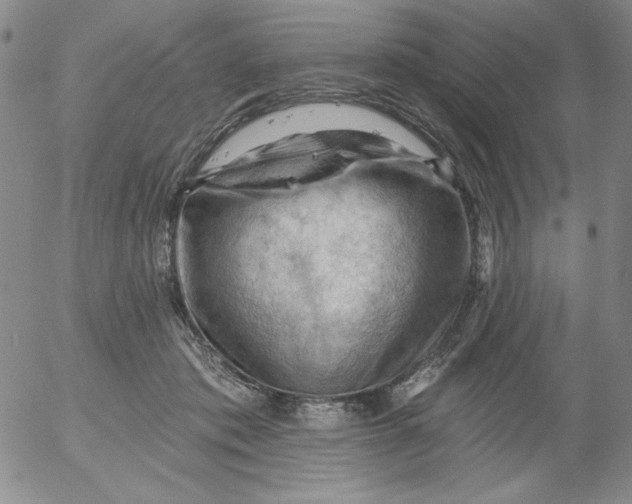 X0000053080413200508012011