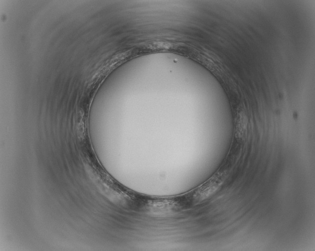 X0000053080414200508012011