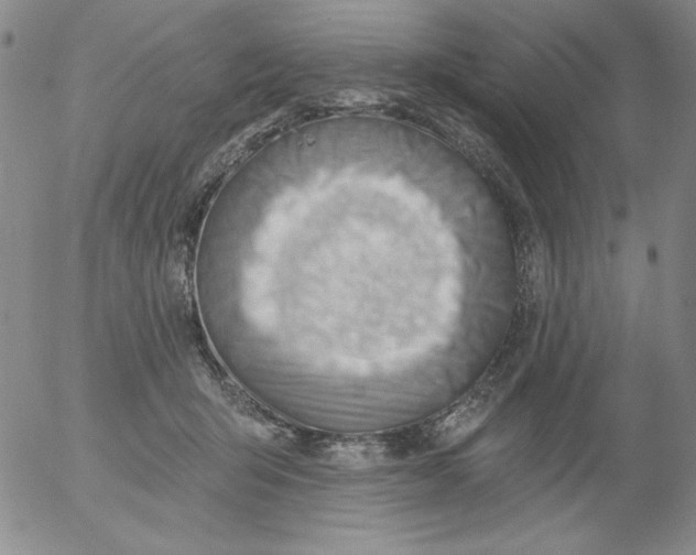 X0000053080415200508012011