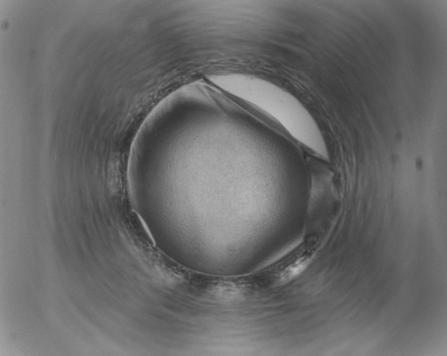 X0000053080416200508012011