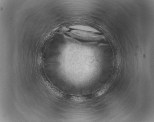 X0000053080417200508012011