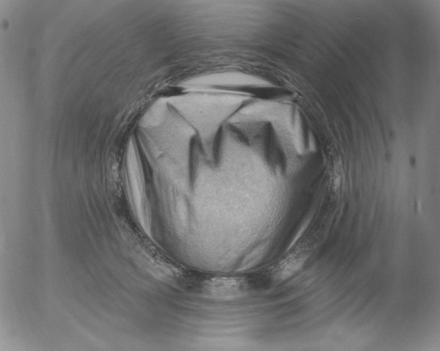 X0000053080418200508012011