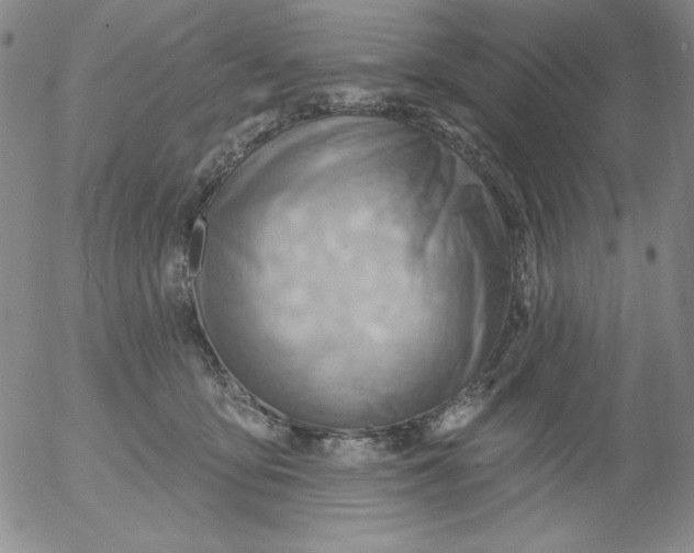 X0000053080419200508012011