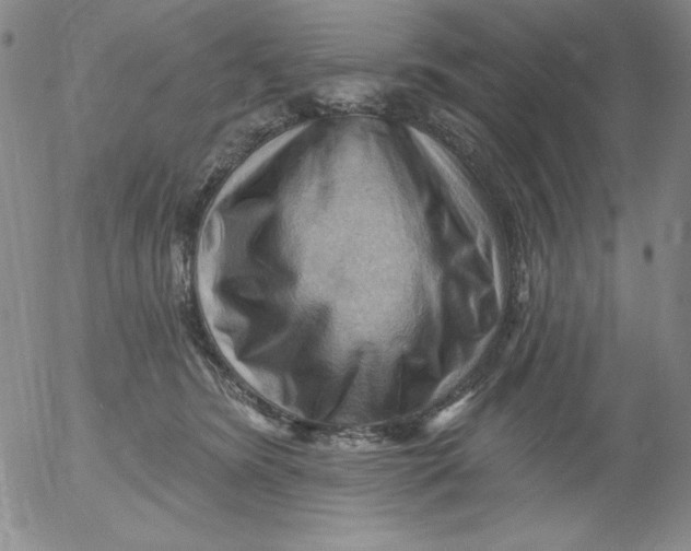 X0000053080420200508012011