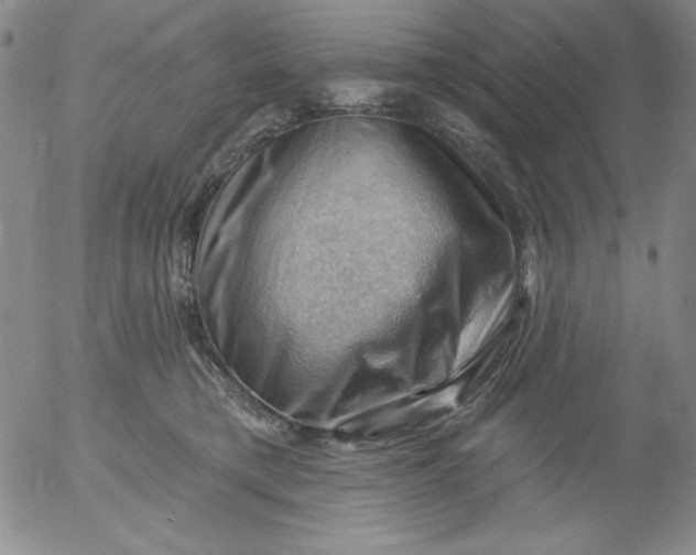 X0000053080421200508012011