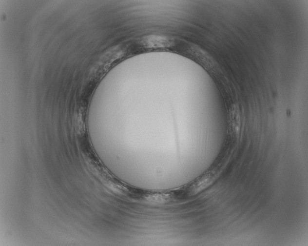 X0000053080422200508012011