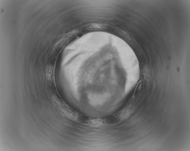 X0000053080423200508012011