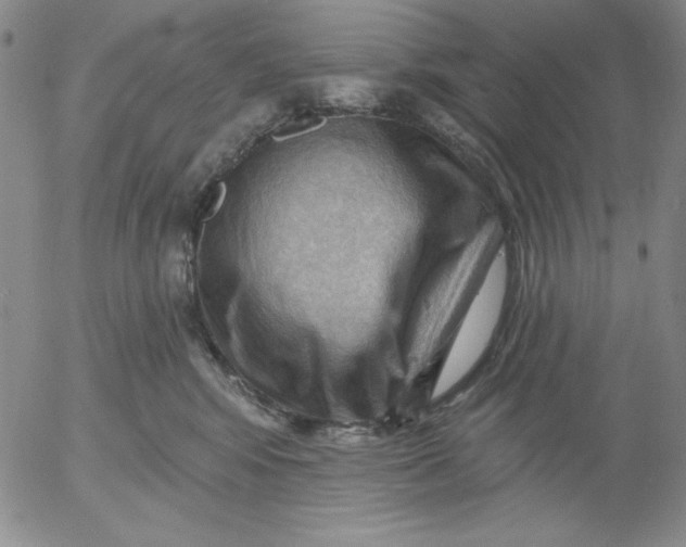 X0000053080424200508012011