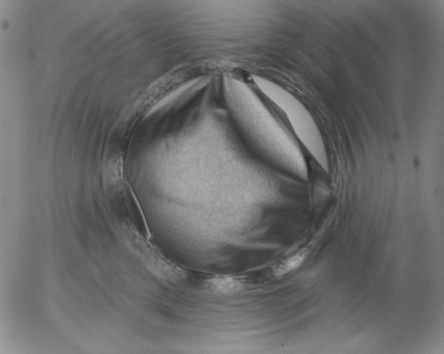 X0000053080425200508012011