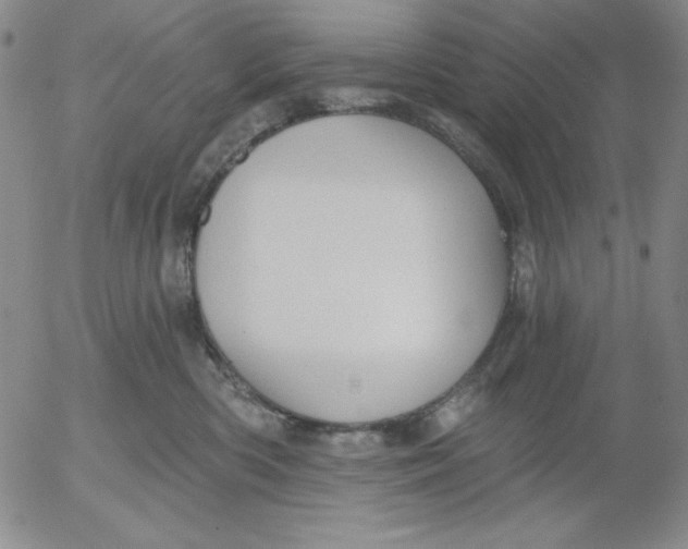 X0000053080426200508012011