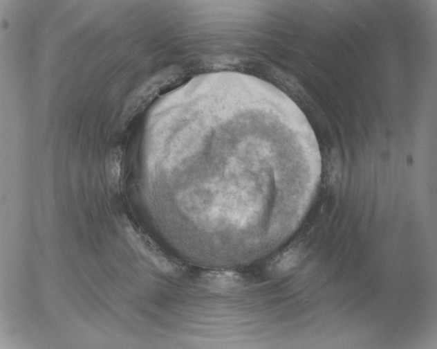 X0000053080427200508012011