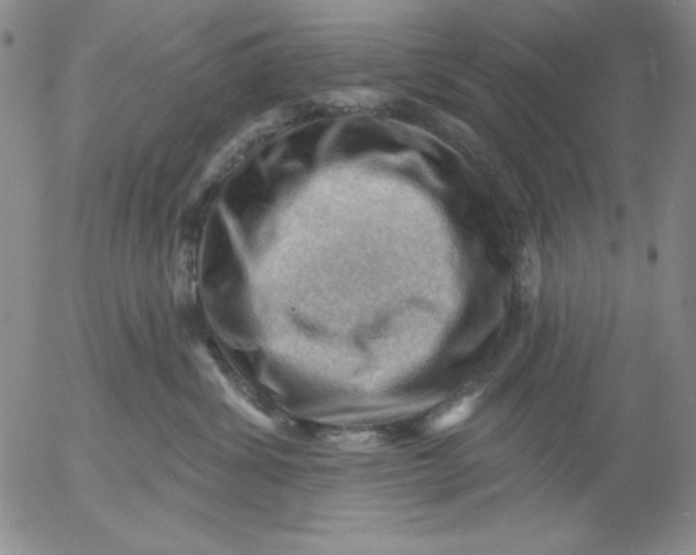 X0000053080428200508012011