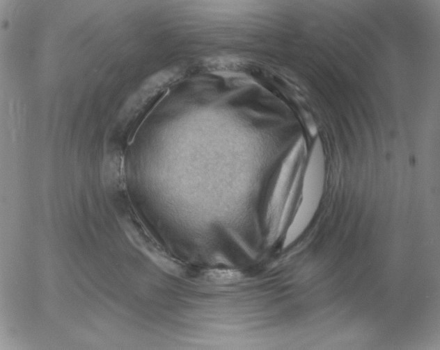 X0000053080429200508012011