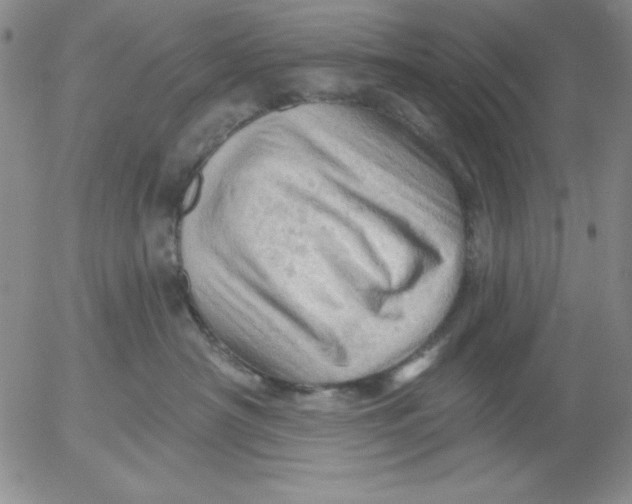 X0000053080430200508012011