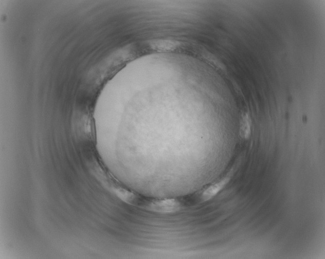 X0000053080431200508012011