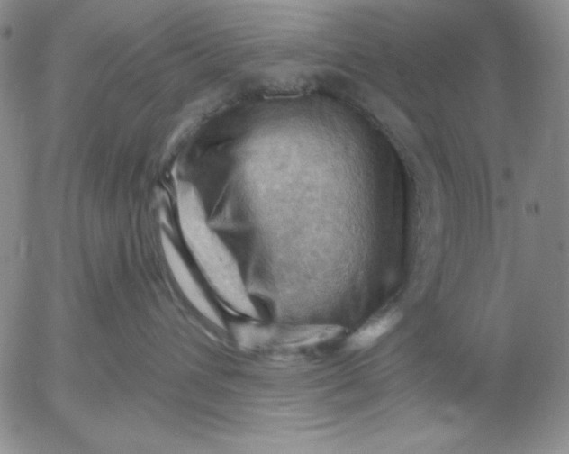 X0000053080432200508012011